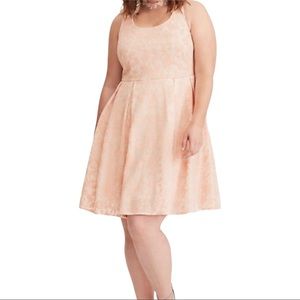 Torrid pale pink and white sleeveless fit and flare dress
